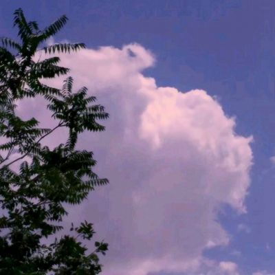 关门放小乔手游私服下载